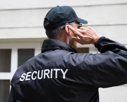 How to Start a Career as an Entertainment Security Guard