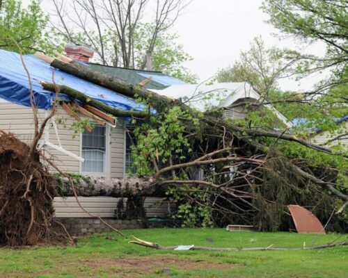 Restore Your Property Fast with Expert Storm Damage Repair Tampa FL